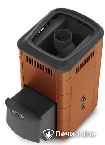 Дровяная печь-каменка TMF Тунгуска 2017 Inox ДА ТО терракота в Брянске